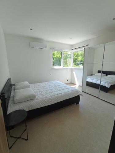 a bedroom with a large bed and a mirror at La Villa les pieds dans leau in Comblain-au-Pont