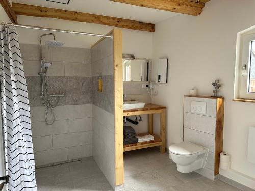 ein Bad mit einer Dusche, einem WC und einem Waschbecken in der Unterkunft 1852 Landgasthof- Ferienwohnung in Elze