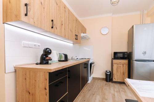 Η κουζίνα ή μικρή κουζίνα στο Apartments TGM 11
