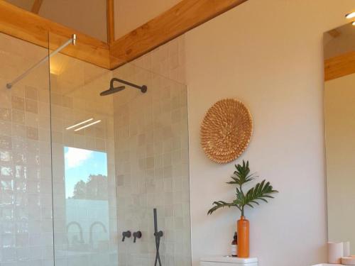 a bathroom with a shower with a potted plant at Umoya Boutique Hotel & Villas in Cape Town