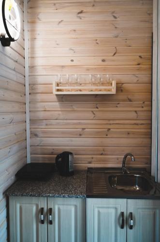 a kitchen with a sink and a wooden wall at Patara cottage, Stepantsminda, Achkhoti, in Kazbegi