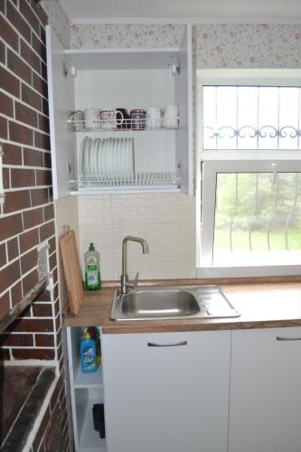 a kitchen with a sink and a brick wall at Family & Relax Loft Lake House in Zagalʼtsy