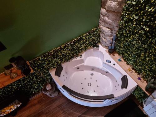 a visualization of a jacuzzi in a room with a plant at Tropic Love Room in Lyon