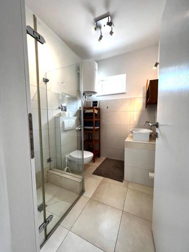a bathroom with a shower and a toilet and a sink at Apartments Ruzic Njivice in Njivice