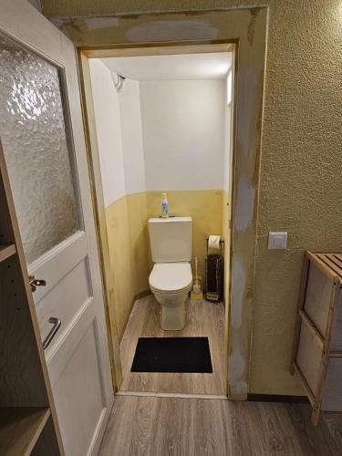 a small bathroom with a toilet and a door at Airolo with private parking in Airolo