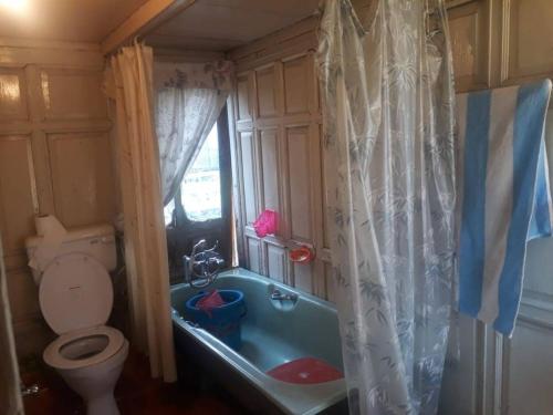a bathroom with a tub and a toilet and a sink at Gulshan Group of HouseBoat in Srinagar
