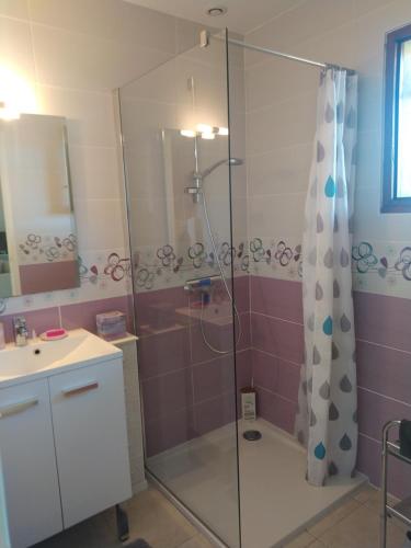une salle de bain avec une douche en verre avec un lavabo dans l'établissement Villa Nancea Bassin Arcachon Gujan Mestras, à Gujan-Mestras