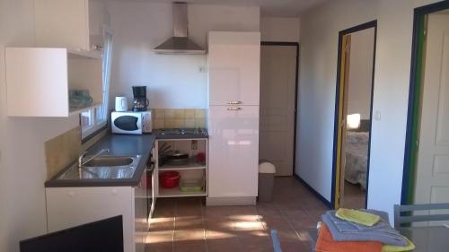 una pequeña cocina con fregadero y microondas en Domaine Vents Du Sud, en Vingrau