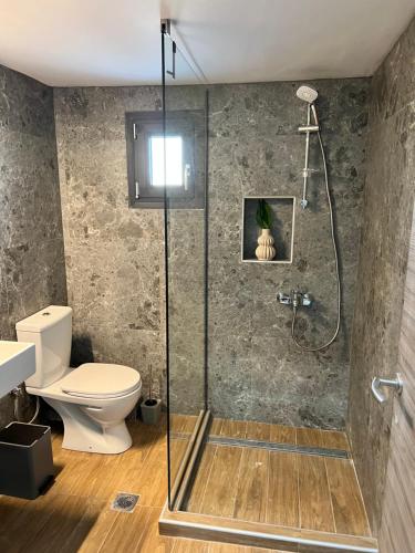 a bathroom with a shower and a toilet at Aurora Apartments in Nea Vrasna