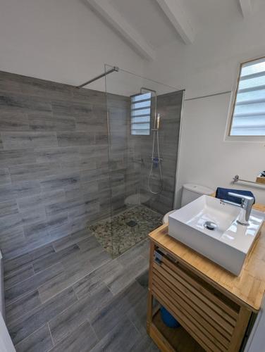Vannas istaba naktsmītnē Villa TOMCO