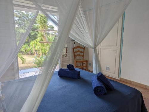 ein Schlafzimmer mit einem Bett mit blauer Bettwäsche und einem Fenster in der Unterkunft Villa TOMCO in Deshaies