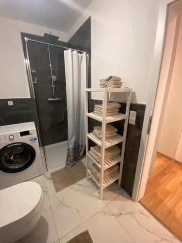 La salle de bains est pourvue d'une douche et de toilettes. dans l'établissement Schöne Ferienwohnung mit Balkon, à Lübeck