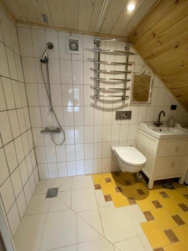 a bathroom with a shower and a toilet and a sink at Stebuklas coliving in Vilnius