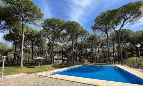 una piscina con árboles en el fondo en Huttopia Parque de Doñana, en Hinojos
