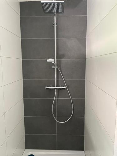 a shower with a hose in a bathroom at Kleine Ferienwohnung Nähe Amstetten in Spiegelsberg