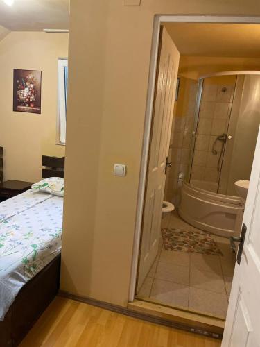 a bedroom with a bathroom with a tub and a bed at Pensiunea Iza in Bradu