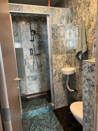 uma casa de banho com um chuveiro, um WC e um lavatório. em Duplex sans souci em Bruxelas