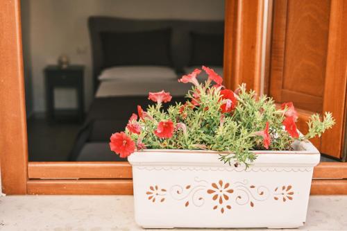 Κήπος έξω από το Casa FraLu
