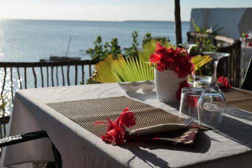 Lala Land Lodge – Photos 3