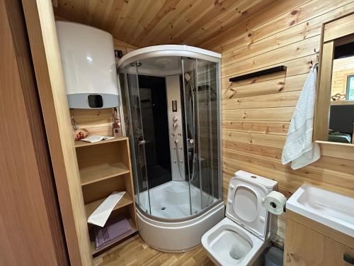 La petite salle de bains est pourvue d'une douche et de toilettes. dans l'établissement Cãsuța de sub nuc, à Piatra Neamţ