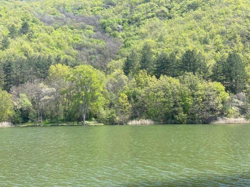 a large body of water with trees in the background at Hotel Gradche in Kochani