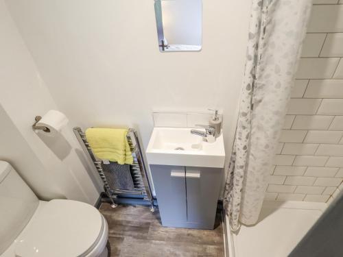 a bathroom with a sink and a toilet and a shower at The Imp's Pad in Lincoln
