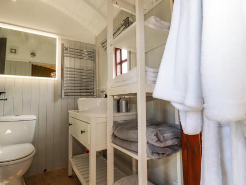 a white bathroom with a toilet and a sink at Puddle Duck Shepherds Hut in Launceston