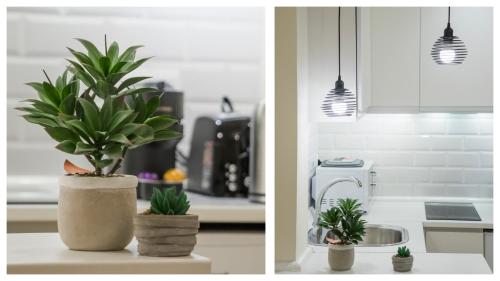 une cuisine avec deux plantes en pot sur un comptoir dans l'établissement Apartamento Comercio 37 by Toledo AP, à Tolède