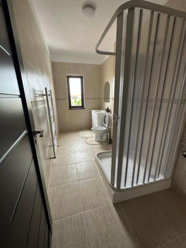 a bathroom with a shower and a toilet and a tub at Dacia Apartments in Sebeş
