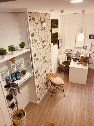 an office with a room with plants on the wall at Hotel Canada in Benicàssim