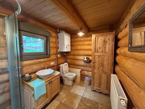 a bathroom with a sink and a toilet in a log cabin at Căsuța din pădure in Piatra Neamţ