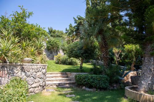 Garden sa labas ng Green Villa Aegina