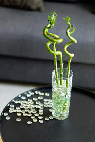 two green snakes in a glass vase on a table at Luxury Suites South by Rikas Hotels in Antwerp