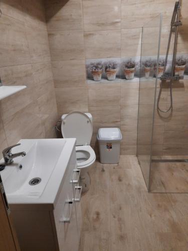 ein Bad mit einem WC, einem Waschbecken und einer Dusche in der Unterkunft U Anny in Wałcz