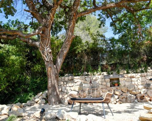 a bench under a tree next to a stone wall at Chambre d'hôtes Cottes in Callian