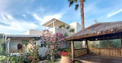 a house with a wooden deck and a palm tree at Ricardo by the sea in Parikia