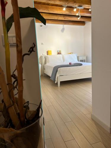 a bedroom with a bed and a potted plant at Larocca Tourist Home 2 in Bassano del Grappa