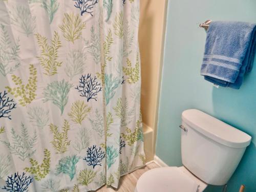 a bathroom with a shower curtain and a toilet at 215 C2 GP-The Treehouse in Coffeyville