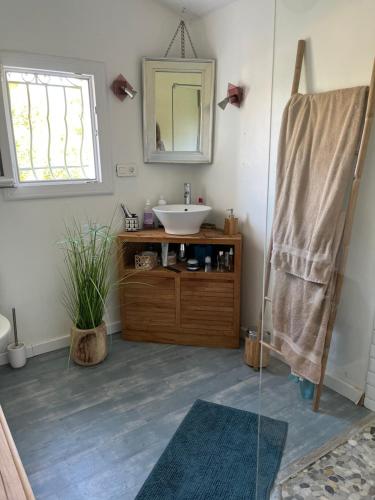 ein Bad mit einem Waschbecken und einem Spiegel in der Unterkunft Maison 3 chambres avec piscine dans un jardin luxuriant in Puget-sur Argens