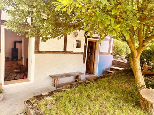 a wooden bench sitting outside of a house with a tree at Gemütliches Ferienhaus im Extertal/ Lippe in Extertal