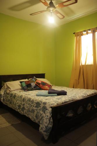 Schlafzimmer mit einem Bett mit grünen Wänden und einer Decke in der Unterkunft Casa Mandarina in La Punta
