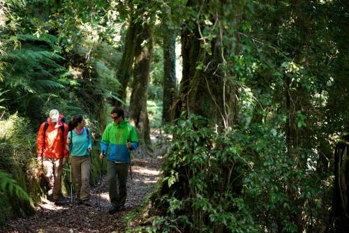 three people walking on a trail in the woods at Futangue Hotel & Spa in Lago Ranco