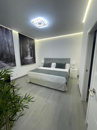 1 dormitorio con 1 cama en una habitación en SUARA Apartamentos 3, en Madrid