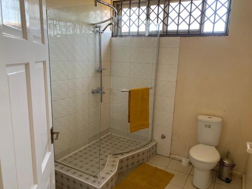 uma casa de banho com um chuveiro e um WC. em Accra Service villas - villa 2? em Spintex