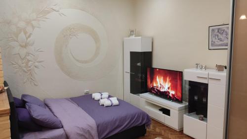 - une chambre avec un lit, une cheminée et une télévision dans l'établissement Aurora apartment Novi Sad, à Novi Sad