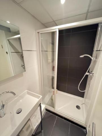 a bathroom with a shower and a sink at Residence OLit Cathédrale in Strasbourg