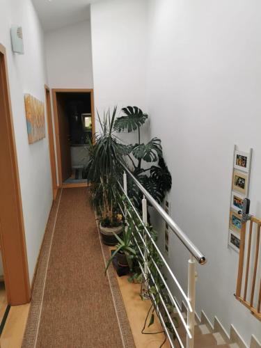 Fotografie z fotogalerie ubytování Harmony Haven v destinaci Kluž