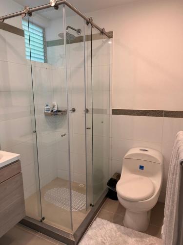a bathroom with a toilet and a glass shower at Charming Apartment Northern Armenia in Armenia