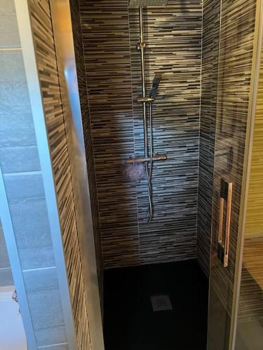 a bathroom with a shower with a wooden wall at Casa Lici in Robles de Laciana