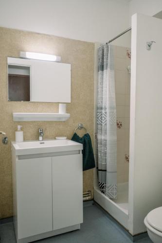 une salle de bain avec un lavabo blanc et une douche dans l'établissement Le Silène, à Rodez